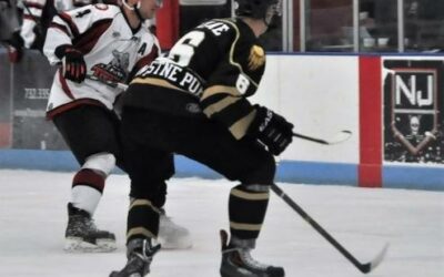 Titans split first Alaska weekend with Brown Bears