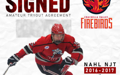 Titans’ alum Andreev signs Amateur Tryout with Coachella Valley of the AHL